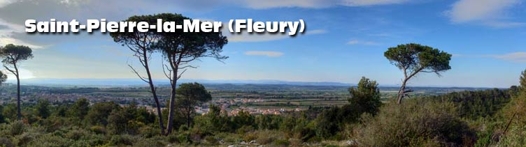 Meteo A 15 Jours Com Prenez Le Bon Temps